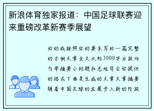 新浪体育独家报道：中国足球联赛迎来重磅改革新赛季展望